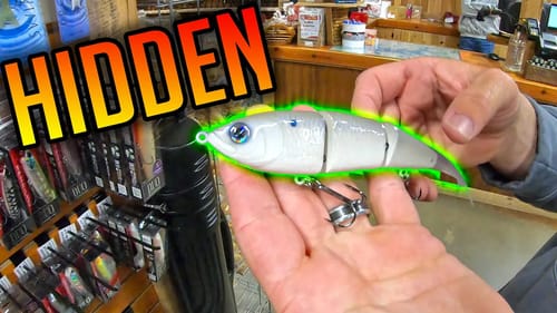 Lake Lanier Bait Shop Walk Thru