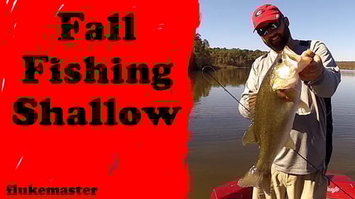 How to Fish for Bass in the Fall