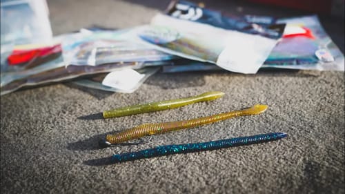 Worm Fishing Tips for Fall and Winter
