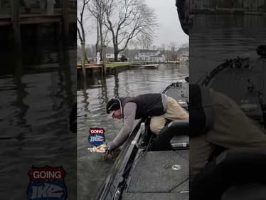 Flipping for Largemouth Bass! Tomorrow! #bassfishing #susquehannariver
