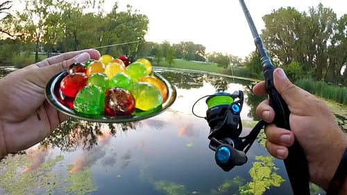 Fishing a TINY Pond w/ NASTY DIY Bait!!!