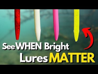 WHEN and WHY Bright Colored Lures Matter (Watch Underwater)