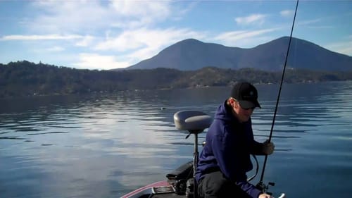 Catching Bass on a Mattlures Swimbait