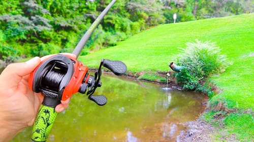 Catching GIANT Bass in GOLF COURSE Ponds! (Bank Fishing)