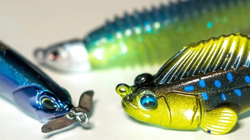 How To Catch Bigger Smallmouth (And Largemouth) - Everything You Need To Know - Finesse Bass Fishing