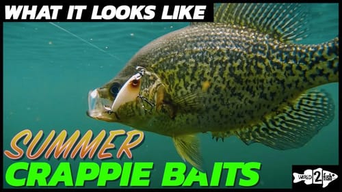 Fishing for Summer Crappies | What it Looks Like Underwater