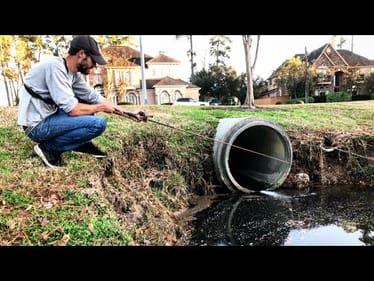 Catching HUGE FISH out of INCHES OF WATER!!