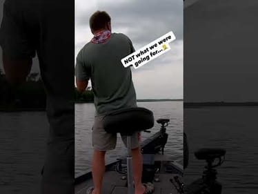 Why do they always show up at the WORST times… 🤣🐊