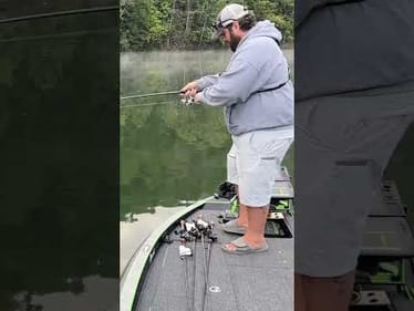 Fall Bite Is Getting Better