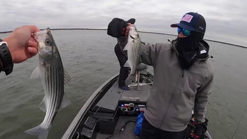 Our most epic fishing trip yet! Lake Whitney Late Fall Striper Fishing