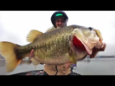 Major Cold Front Ignites Massive Bass Feeding Frenzy