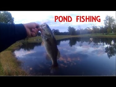 BANK FISHING Urban Ponds ||TOPWATER||