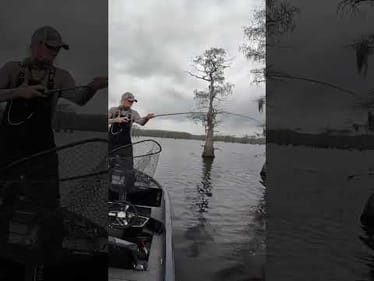 YEAH!! Flipped around the new Crud Craw for my day 1 tournament on Caddo!