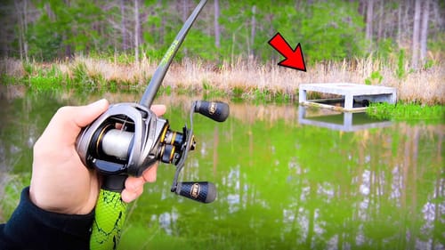 Catching Bass EVERY Cast - POND Hopping (Bank Fishing)