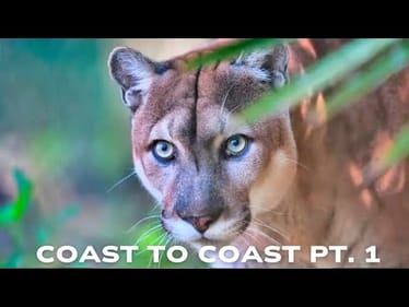 COAST TO COAST PT. 1 (TEASER)