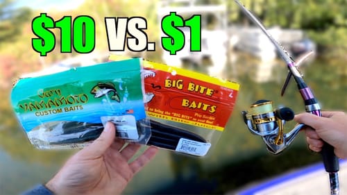 CHEAP vs. EXPENSIVE senko fishing Challenge!