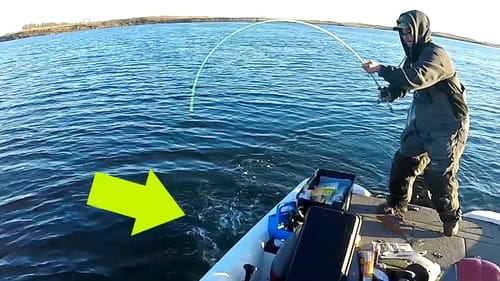 3 Days Hunting GIANT Fish FINALLY Pays Off!!! (Man Hug)