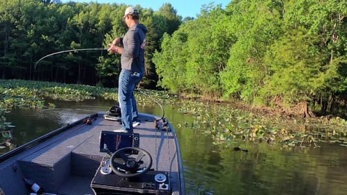 OFF THE GRID — Beaver Pond