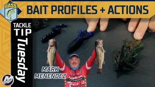 Changing bait profiles as water temperatures drop