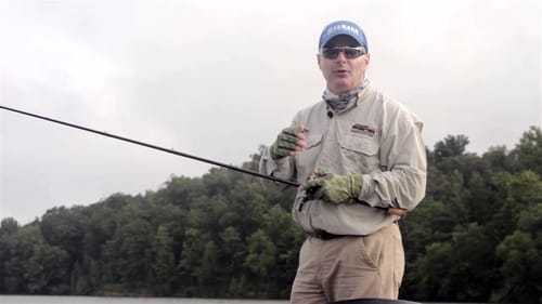 Why Bass Move Shallower in Late Summer and Early Fall