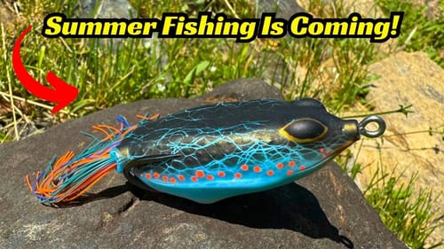 Summer Is Coming And The Frog Is King!