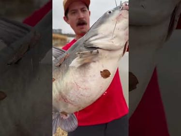 Never know when it gana happen! #fishing