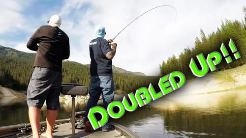Swimbaits and Crankbaits | How To Adapt To Changing Conditions
