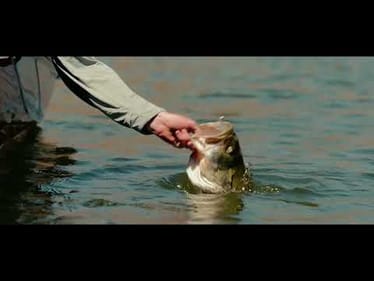 Megabass Destroyer Evoluzion - new 2025 rod lineup