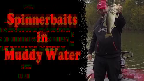 How to Fish a Spinnerbait in Muddy Water
