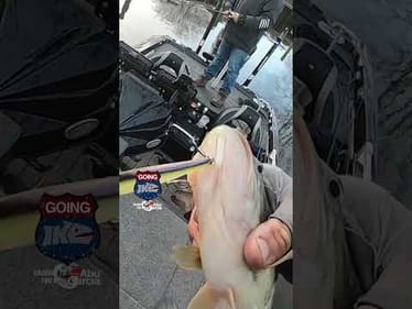 This weeks Going Ike is all about the bait. Find the bait and find the big ones!!! #bassfishing
