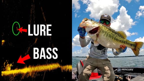FISH Eats Lure Underwater Captured on Fish Finder!!!