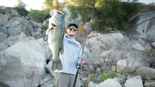 Swimbait Underground X Rago Baits D3R