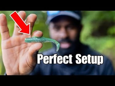 Best Finesse Swimbait Setup - (rods, reels, line, baits)