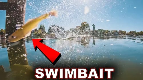 How To Skip Under Docks & Trees