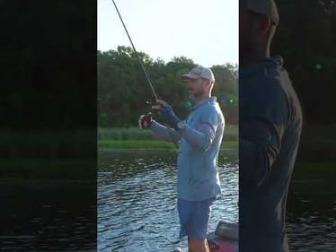 Which Frog Do I Throw in the Wind: Popping or Walking?