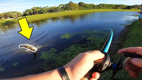 THIS Swimbait Will BREAK Your PB!