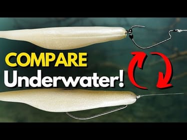 Best Soft Jerkbait Rigging Method? (Side-by-Side Comparison)