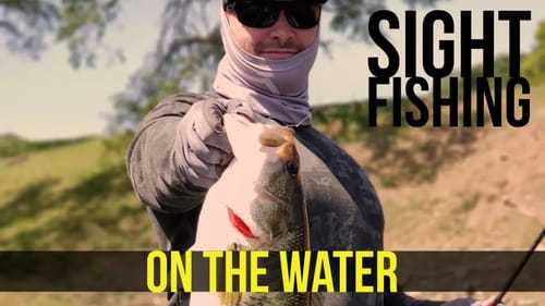 Sight Fishing for Largemouth Bass in Northern California
