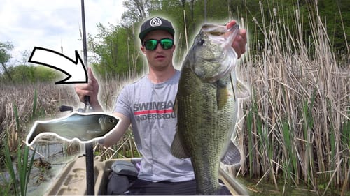 Catching BIG Bass On The Working Class Zero Battles Shad 7.5! (NEW PB)