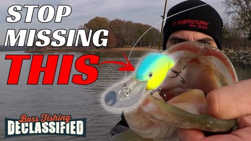 Avoid These Common Crankbait Fishing Mistakes In the Winter