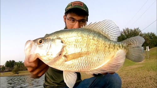 I FOUND GIANT CRAPPIE!! (Crazy Tactic)