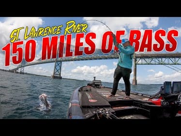 150 MILES of BASS (The FINAL GRIND) - Bassmaster Elite St. Lawrence River PRACTICE - UFB Ep.43 (4K)