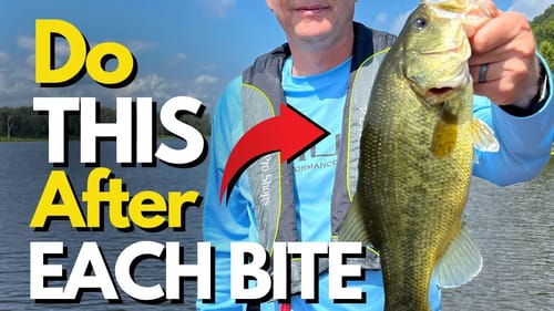 The Questions PRO Anglers Ask Themselves To Get More Bites | We Can Too!