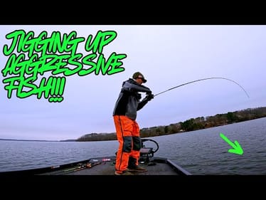 JIGGING DEEP WATER For AGGRESSIVE FISH!!!