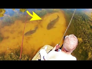 MONSTER FISH in CRYSTAL CLEAR POND!!  (EPIC)