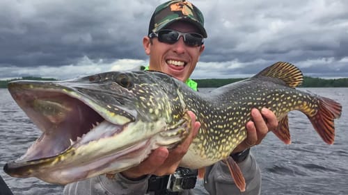 Giant Pike & Smallmouth Bass Eat Topwater MOUSE!!