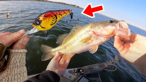Fishing Mid Depth Crankbaits for Pre Spawn Bass