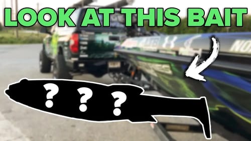 LOOK AT THIS BAIT & Travel (VLOG)
