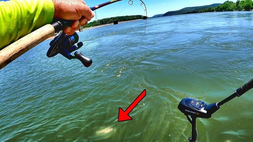 INSTANT BITE!!! The Solution For Tough Days On The Water! (Works Every Time!)