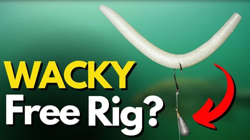 Underwater Footage of what a WACKY FREE RIG Really Does